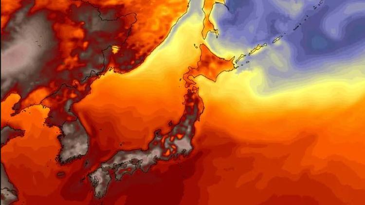 Japonyada sıcaklık ve felaketler bir ayda 300ü aşkın can aldı