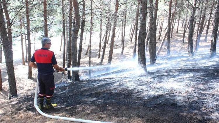 Gelibolu’da çamlık alanda çıkan yangın büyümeden söndürüldü