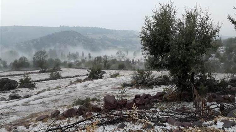 Manisada dolu yağışı ekili alanlara zarar verdi