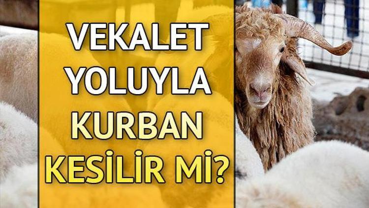 Vekalet yoluyla kurban kesilebilir mi