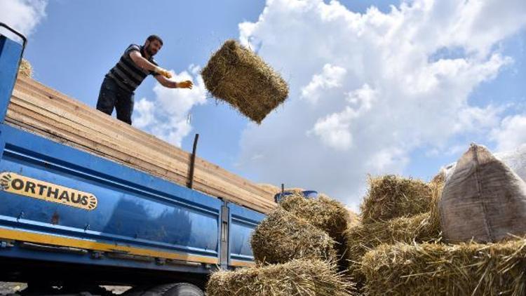 İstanbulun en büyük kurban kesim ve satış merkezi havadan fotoğraflandı