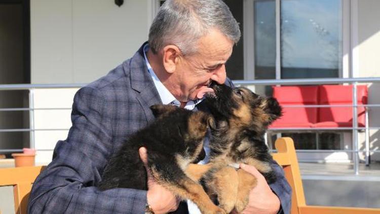 Hayvansever başkan köpek parkını genişletecek