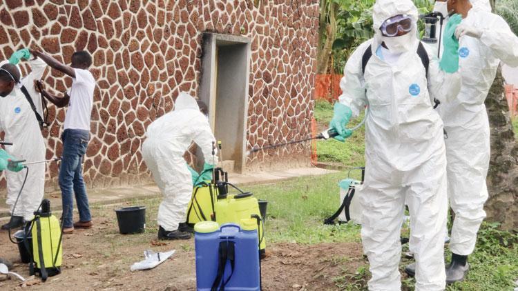 Ebola hortladı