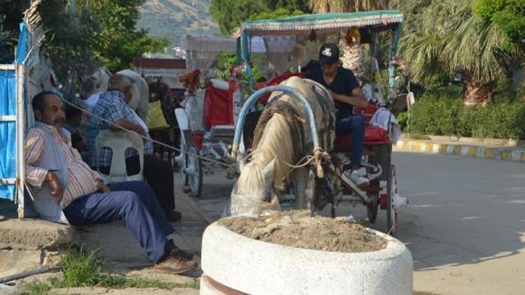 Erdekte faytonlu gezi