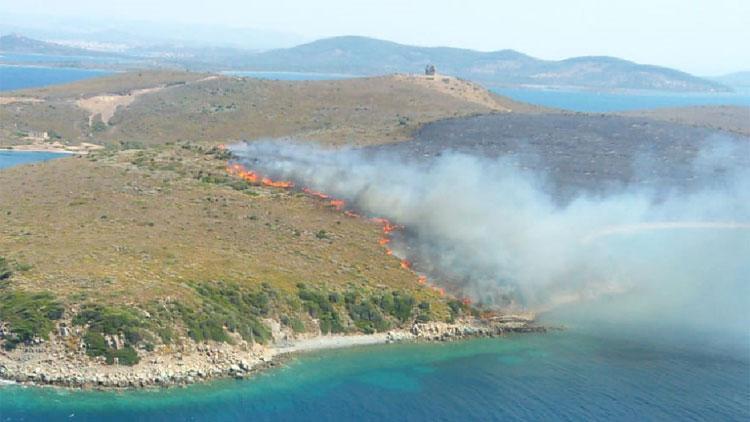 Ayvalıkın Maden Adasında korkutan yangın