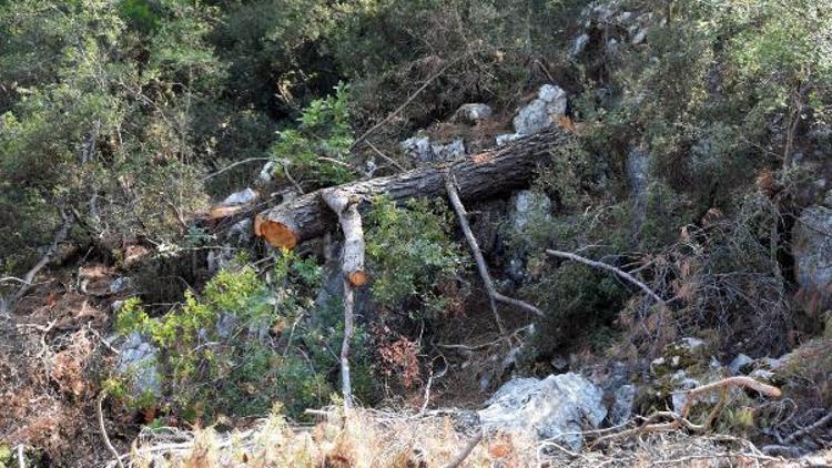 Orman Genel Müdürlüğünden kalker ocağı için açıklama