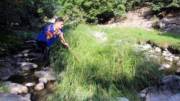 Kayıp Evrimi arama çalışmalarında 1 aydır sonuç yok