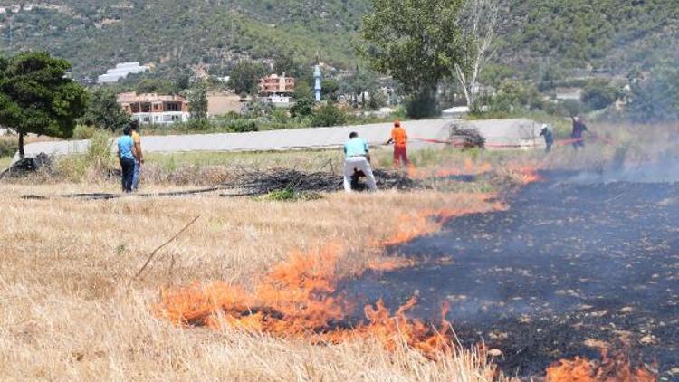 Gazipaşada sazlık yangını, yerleşim alanlarına ulaşmadan söndürüldü