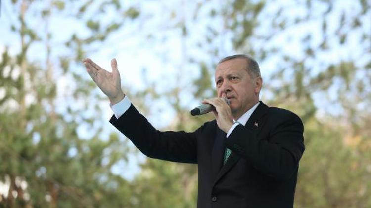 Cumhurbaşkanı Erdoğan: Ekonomik savaşı da başarılı bir şekilde vereceğiz /Ek fotoğraf