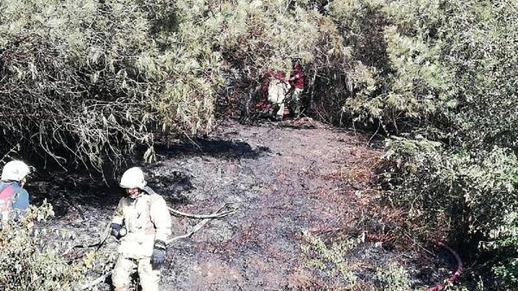 Odunlukta başlayan yangın ormana sıçradı