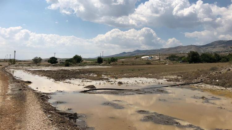 Tarlaların yüzde 70’i zarar gördü