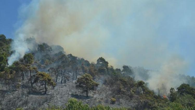 Bursada orman yangını (4)