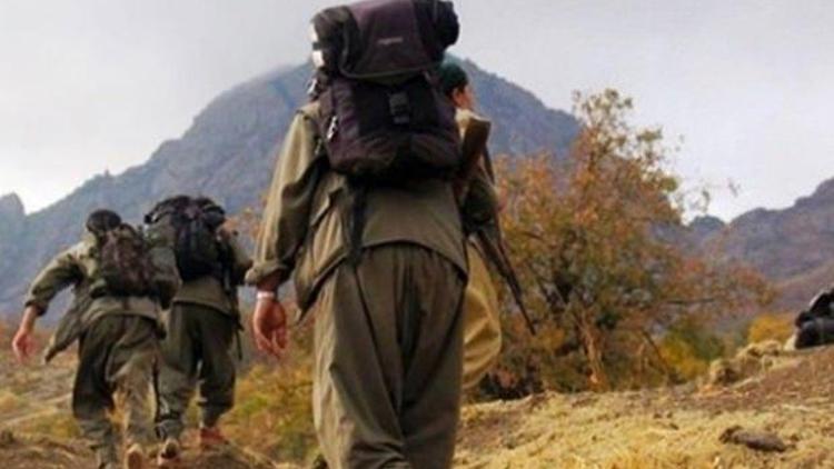 PKKya ağır darbe: 10 terörist öldürüldü