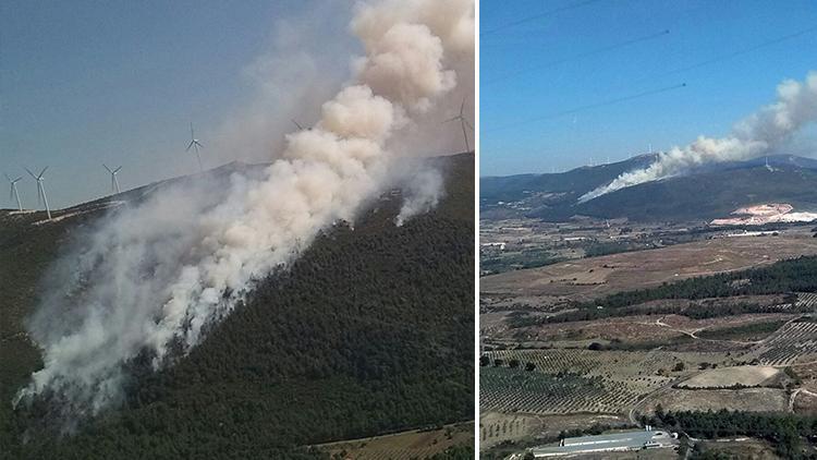 Manisanın Soma ilçesinde orman yangını çıktı