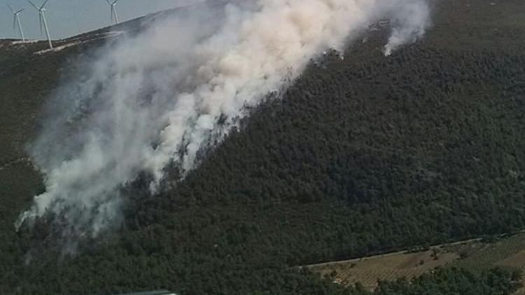 Manisa’da orman yangını / Ek fotoğraflar