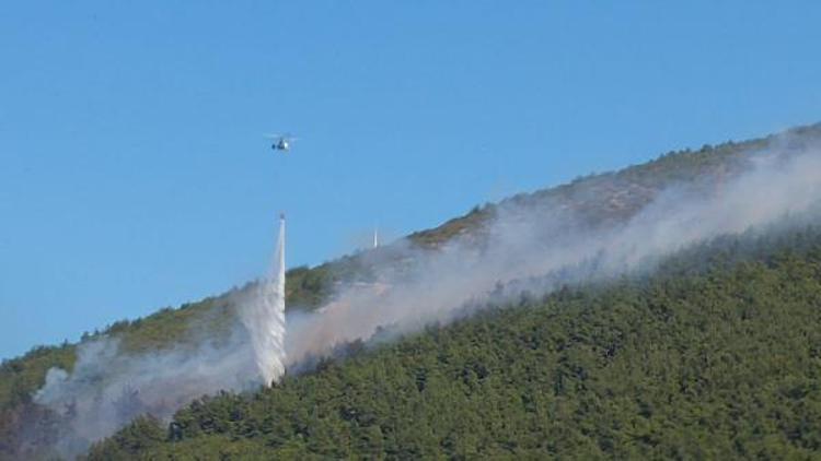 Manisa’da orman yangını (2)