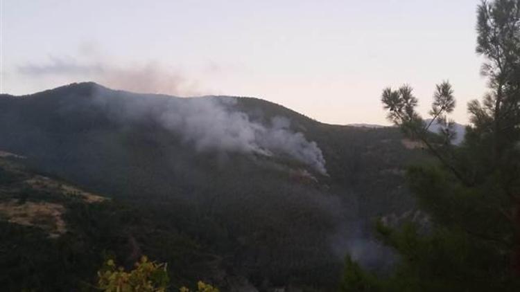 Hatay’da orman yangını kontrol altına alındı