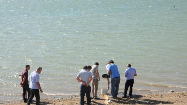 Gümüşler Barajı’na 40 bin sazan balığı yavrusu bırakıldı