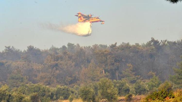 Çanakkalede orman yangını (2) Yeniden