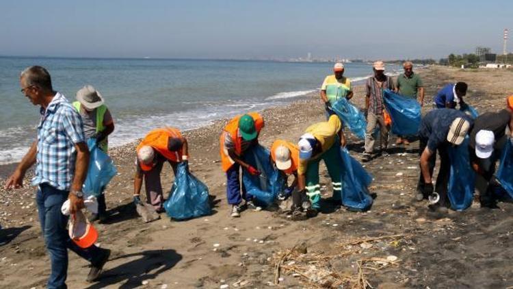 Caretta caretta yuvaladığı sahil temizlendi