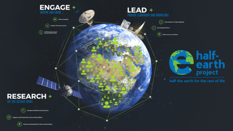 Google Half Earth ile Dünyaya bir başka bakın