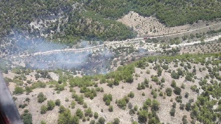Genç fidanların bulunduğu ormanda 5 dekarlık alan yandı