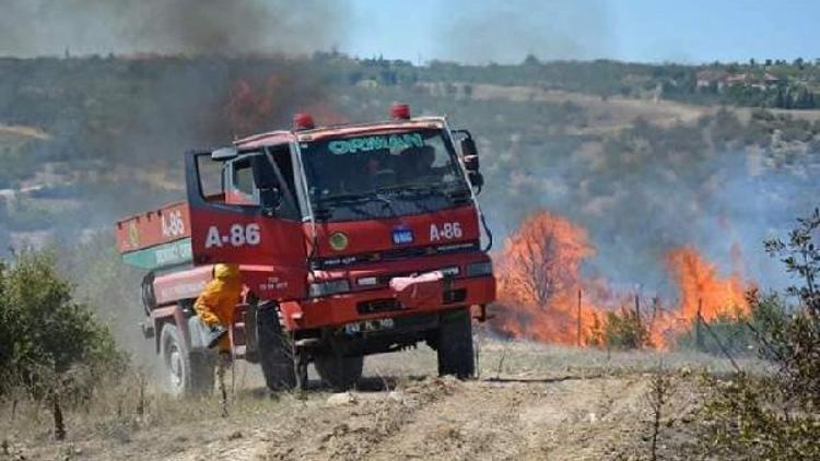 Selendide ormanda yangın çıktı, tarım arazileri de yandı