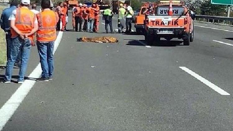 Otomobilin çarptığı 2 Karayolları işçisi öldü