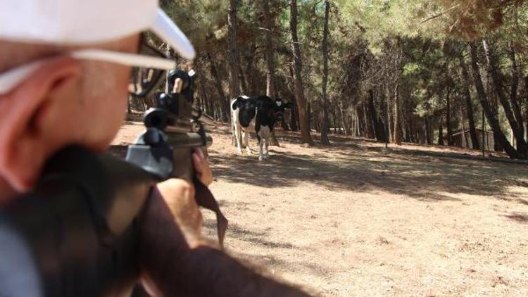 Gaziantepte kurbanlık yakalama timi kuruldu