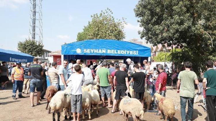 Seyhan’da kurbanlar bu yıl da ücretsiz kesilecek