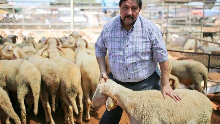 Antalya Kasaplar Odası Başkanından mini koç satışına tepki