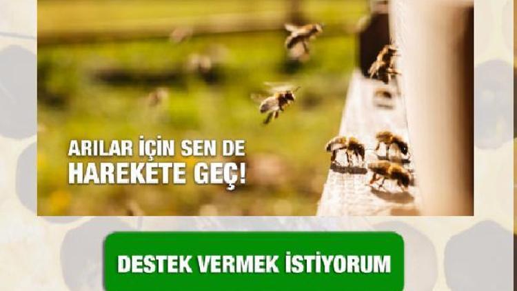 Arı ölümüne neden olan tarım ilaçlarının yasaklanması istendi