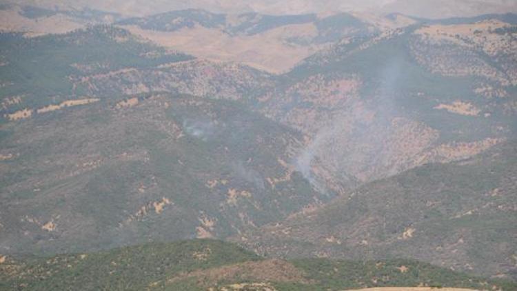 CHPli Erol: Tunceli Aliboğazındaki orman yangını söndürüldü