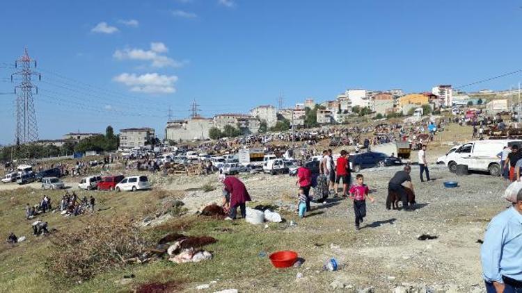 Başakşehirde boş arsa kaçak kesim yapanlarla doldu