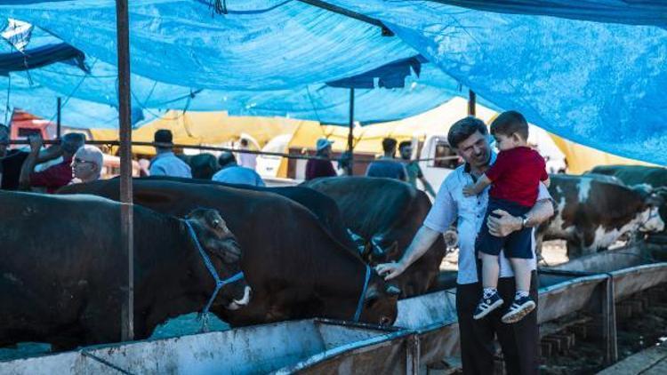 Ek fotoğraflar//BASAKSEHIRDE BOS ARSA KACAK KESIM YAPANLARLA DOLDU