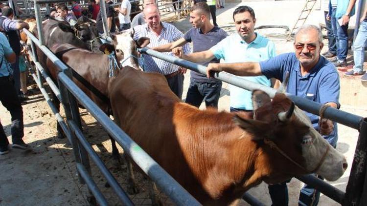 Kurban kesiminde kombinalar tercih ediliyor