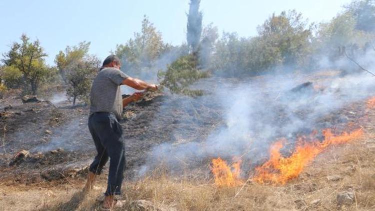 Bergamada 8 hektar fıstık çamı ormanı yandı