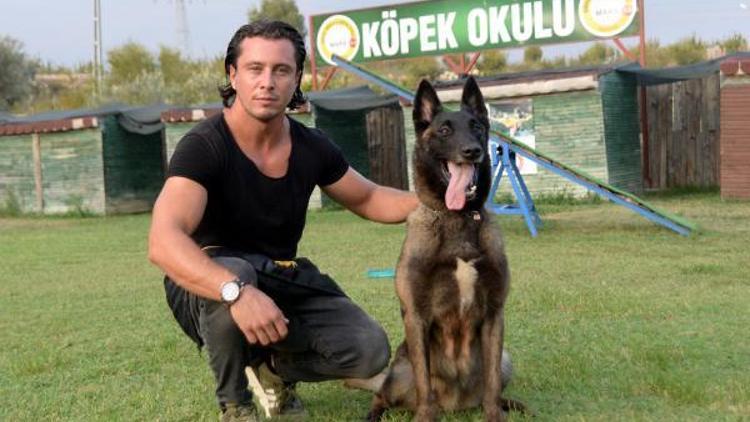 Köpekler, Türkiye ve dünya güvenliği için eğitiliyor