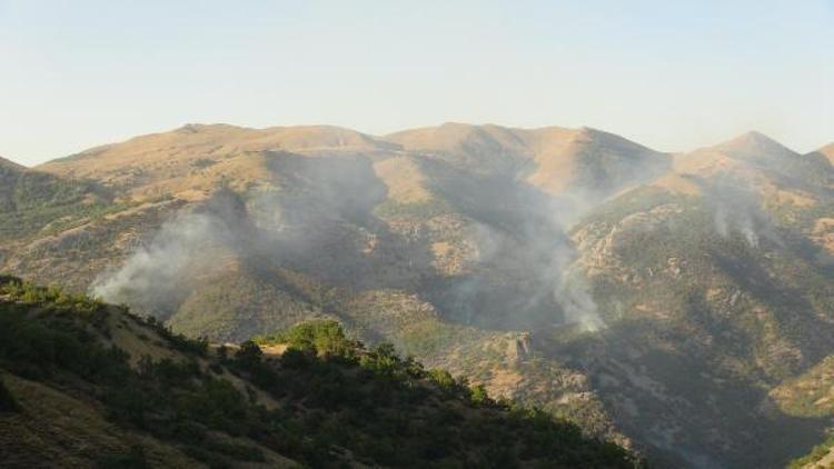 Tuncelideki orman yangınına havadan müdahale talebi