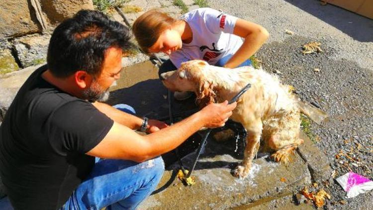 Sıcaktan bunalan köpeği yıkayarak serinlettiler