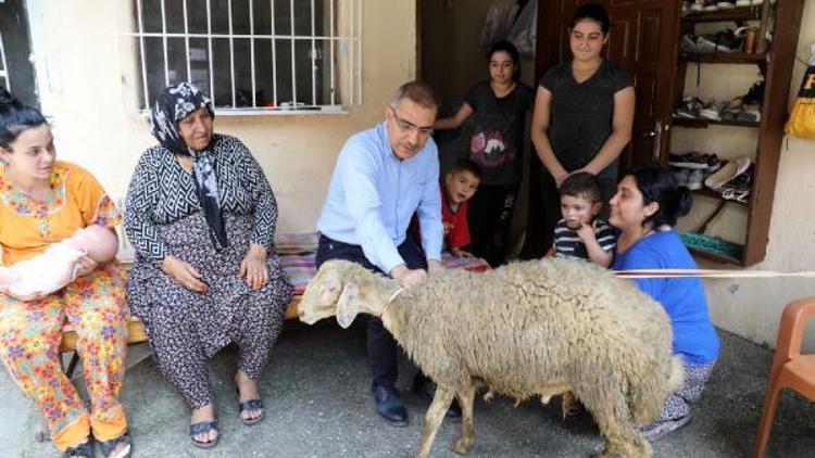 Bayramda kurbanlıklar Başkan Çelikcandan