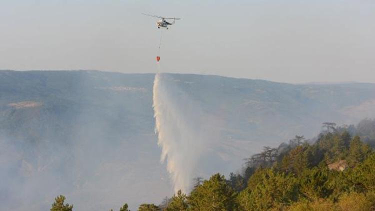 Kastamonudaki orman yangını 18 saatte söndürüldü, 20 hektar yandı