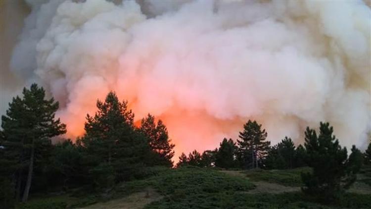 Kastamonu’daki orman yangını 18 saatte söndürüldü