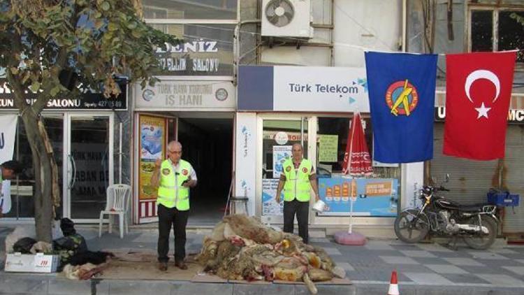 THK, Malkarada 4 bin 144 kurban derisi topladı