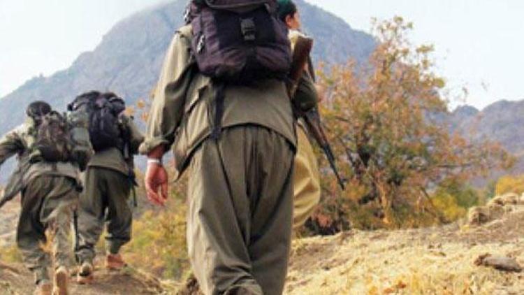Şırnak’ta 2 PKK’lı terörist sağ olarak yakalandı