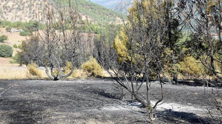 Sivastaki yangında 7 hektarlık orman yandı