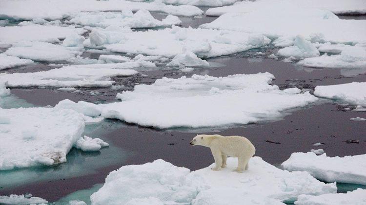 Kuzey Kutbunun en güçlü buz kütleleri kayıtlı tarihte ilk kez parçalandı
