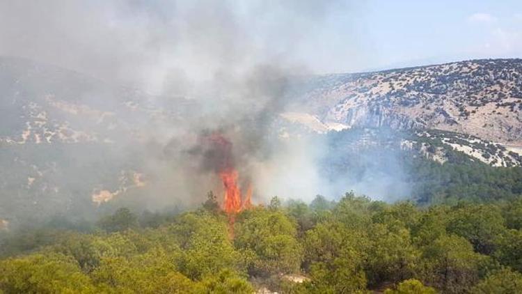 Korkutelide orman yangını