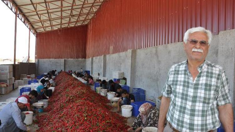 İslahiyede acı mesaisi başladı