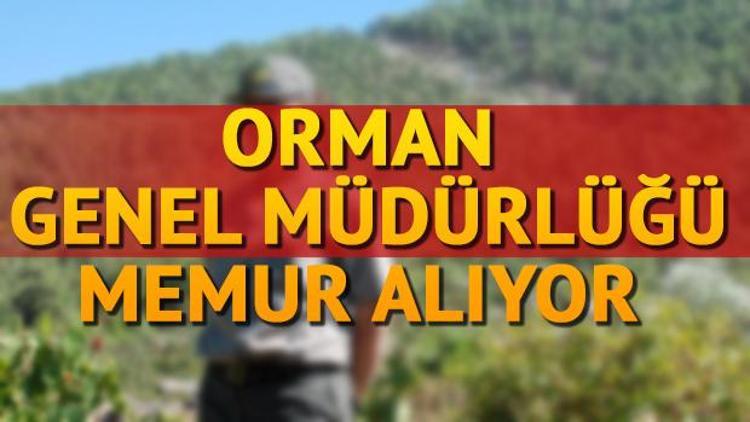 Orman Genel Müdürlüğü 77 personel alımı yapacak